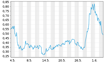 Chart Mini Future Long Palantir - 1 Monat