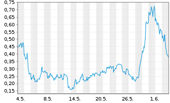 Chart Mini Future Long Palantir - 1 Monat
