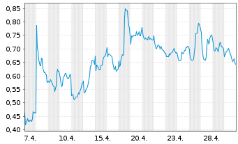 Chart Mini Future Short Shell - 1 Monat