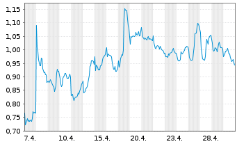 Chart Mini Future Short Shell - 1 Monat