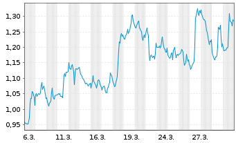 Chart Mini Future Short Visa - 1 Monat
