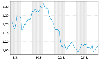 Chart Mini Future Short Chevron - 1 Monat