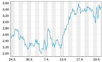 Chart Mini Future Long Adyen - 1 Monat