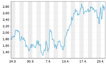 Chart Mini Future Long Adyen - 1 Monat
