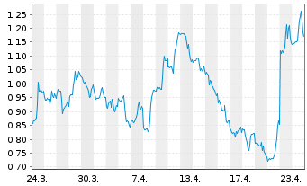 Chart Mini Future Short IBM - 1 Monat