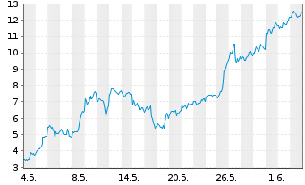 Chart Mini Future Long Micron - 1 Monat