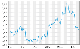 Chart Mini Future Long Nike - 1 Monat