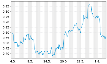 Chart Mini Future Long Nike - 1 Monat