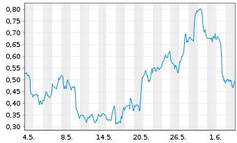 Chart Mini Future Long Nike - 1 Monat