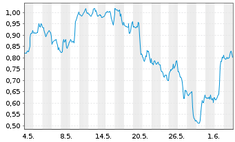 Chart Mini Future Short Nike - 1 Monat