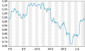 Chart Mini Future Short Nike - 1 Monat
