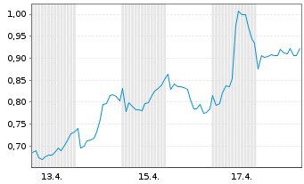 Chart Mini Future Short Shell - 1 Monat