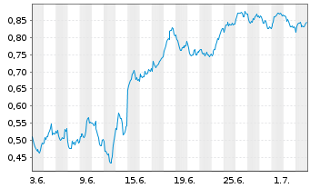 Chart Mini Future Short Shell - 1 Month