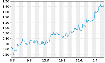 Chart Mini Future Long Visa - 1 Month