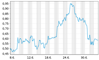 Chart Mini Future Short Palantir - 1 Month