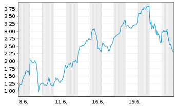 Chart Mini Future Long Micron - 1 Monat