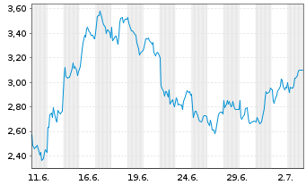 Chart Mini Future Long Adyen - 1 Month
