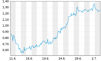 Chart Mini Future Short Standard Lithium - 1 Month