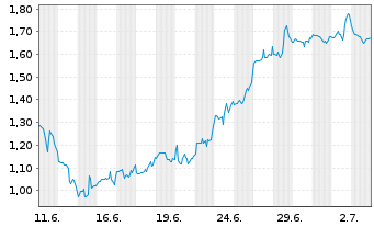 Chart Mini Future Short Standard Lithium - 1 Month