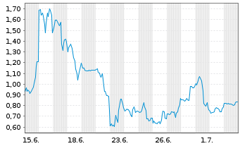 Chart Mini Future Long SPACE X - 1 Month