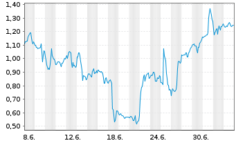 Chart Mini Future Long IBM - 1 Month