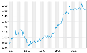 Chart Mini Future Short Standard Lithium - 1 Month