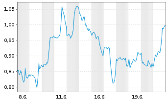 Chart Mini Future Long Verizon - 1 Month