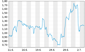Chart Mini Future Long Tesla - 1 Monat