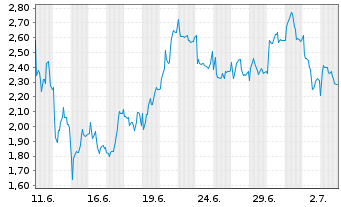 Chart Mini Future Short LVMH - 1 Monat