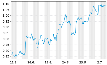 Chart Mini Future Long Berkshire Hathaway - 1 Monat