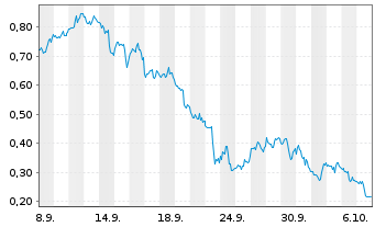 Chart Mini Future Short Palantir - 1 Month