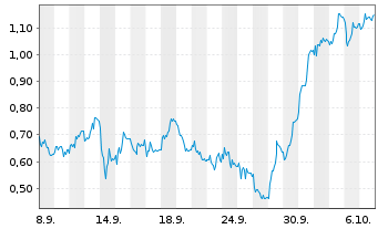 Chart Mini Future Short Bayer - 1 Monat