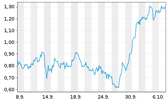 Chart Mini Future Short Bayer - 1 Monat