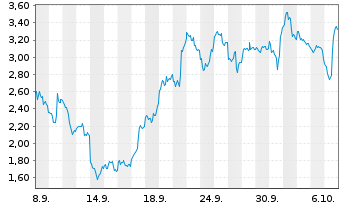 Chart Mini Future Long Micron - 1 Month