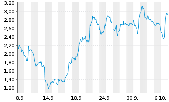 Chart Mini Future Long Micron - 1 Month