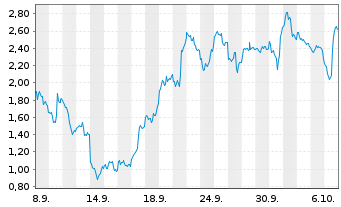 Chart Mini Future Long Micron - 1 Month
