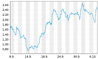 Chart Mini Future Long Micron - 1 Month