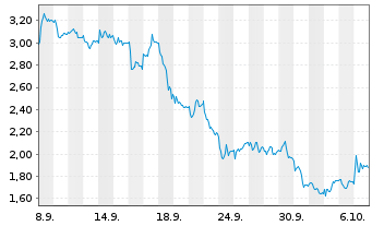 Chart Mini Future Long Volkswagen - 1 Month