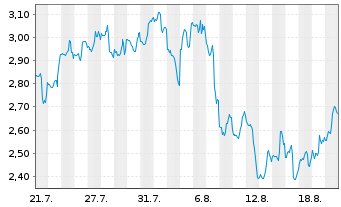 Chart Mini Future Short SPACE X - 1 Month
