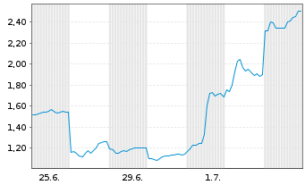 Chart Mini Future Long BYD - 1 Monat