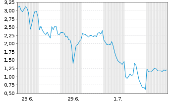 Chart Mini Future Long Micron - 1 Month