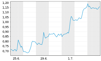 Chart Mini Future Long Visa - 1 Month