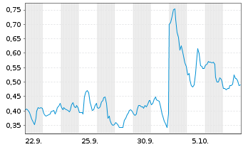 Chart Mini Future Short Nike - 1 Month