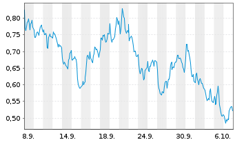 Chart Mini Future Short Shell - 1 Month