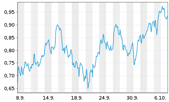 Chart Mini Future Long Shell - 1 Month
