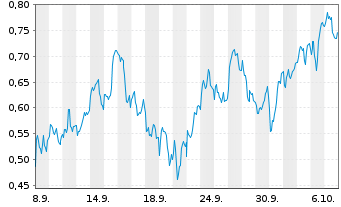 Chart Mini Future Long Shell - 1 Month