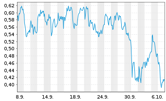 Chart Mini Future Long ING - 1 Month