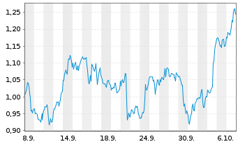 Chart Mini Future Long Visa - 1 Month