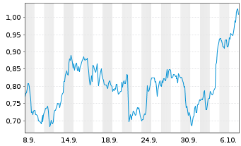 Chart Mini Future Long Visa - 1 Month