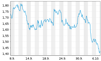 Chart Mini Future Short Visa - 1 Month